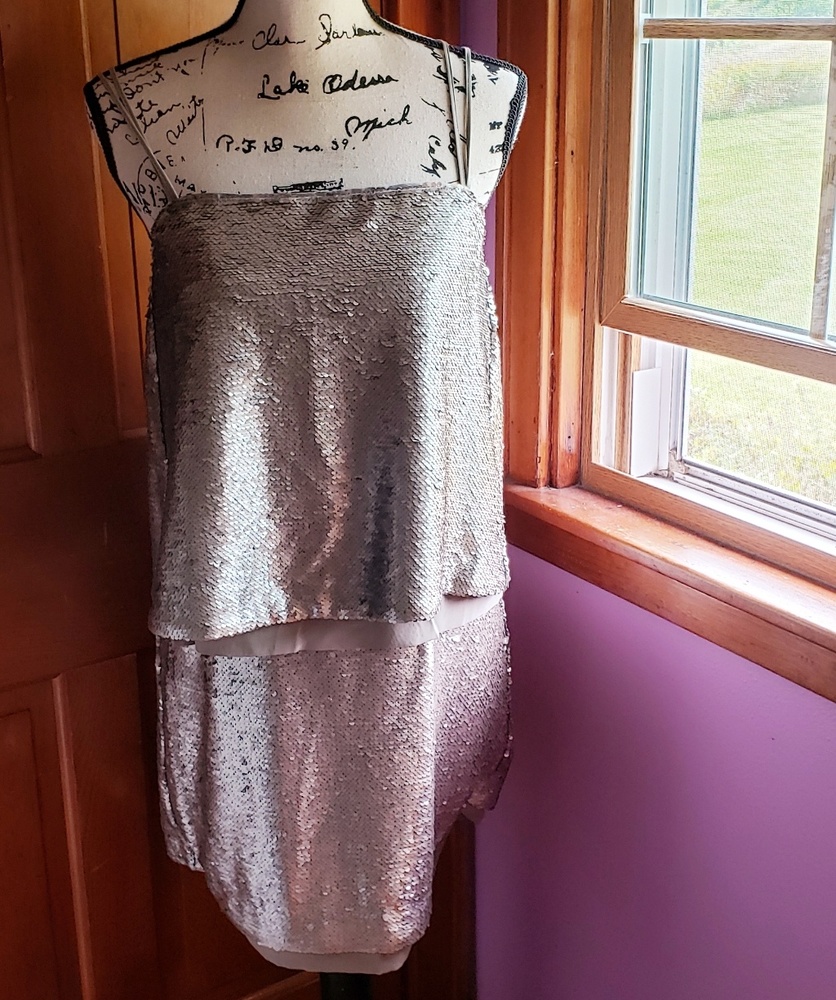 Sequins dress nwt